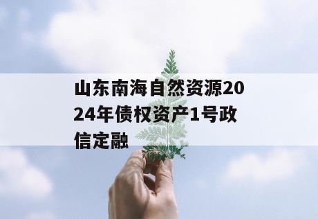 山东南海自然资源2024年债权资产1号政信定融