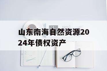 山东南海自然资源2024年债权资产