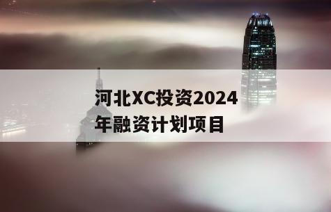 河北XC投资2024年融资计划项目