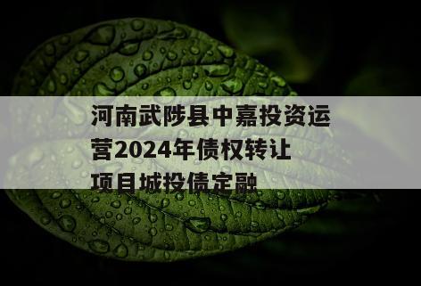 河南武陟县中嘉投资运营2024年债权转让项目城投债定融