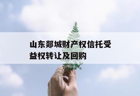 山东郯城财产权信托受益权转让及回购