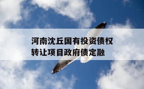 河南沈丘国有投资债权转让项目政府债定融