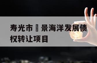 寿光市昇景海洋发展债权转让项目