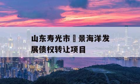 山东寿光市昇景海洋发展债权转让项目