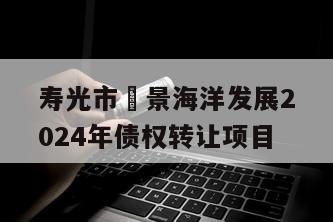 寿光市昇景海洋发展2024年债权转让项目
