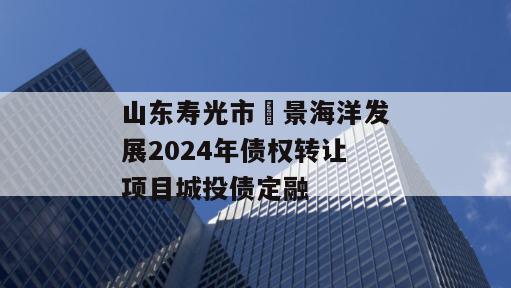 山东寿光市昇景海洋发展2024年债权转让项目城投债定融