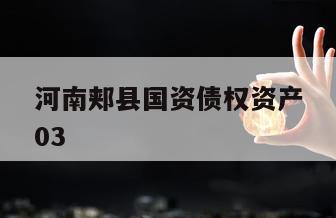 河南郏县国资债权资产03