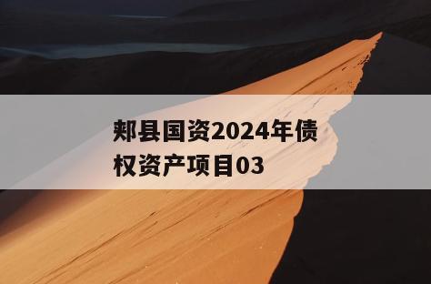 郏县国资2024年债权资产项目03