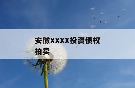 安徽XXXX投资债权拍卖