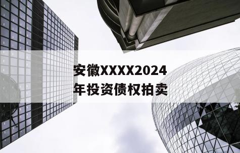 安徽XXXX2024年投资债权拍卖