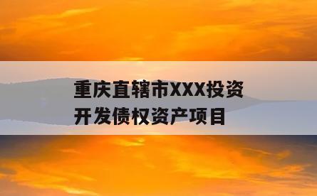 重庆直辖市XXX投资开发债权资产项目