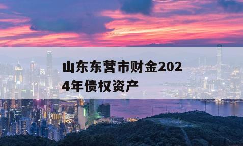 山东东营市财金2024年债权资产