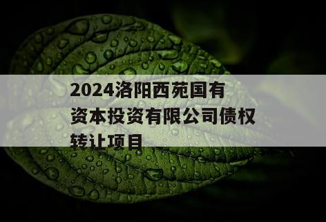 2024洛阳西苑国有资本投资有限公司债权转让项目