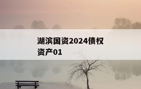 湖滨国资2024债权资产01
