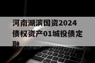 河南湖滨国资2024债权资产01城投债定融