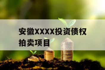 安徽XXXX投资债权拍卖项目