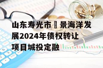 山东寿光市昇景海洋发展2024年债权转让项目城投定融