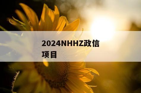 2024NHHZ政信项目