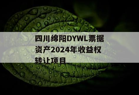 四川绵阳DYWL票据资产2024年收益权转让项目
