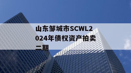 山东邹城市SCWL2024年债权资产拍卖二期