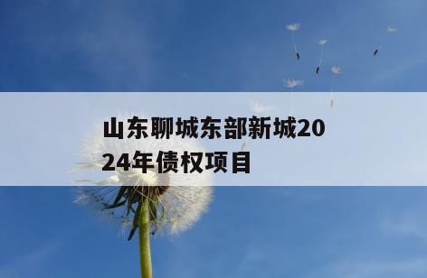 山东聊城东部新城2024年债权项目