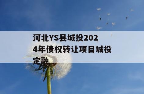 河北YS县城投2024年债权转让项目城投定融