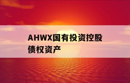 AHWX国有投资控股债权资产