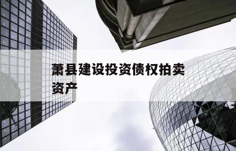 萧县建设投资债权拍卖资产