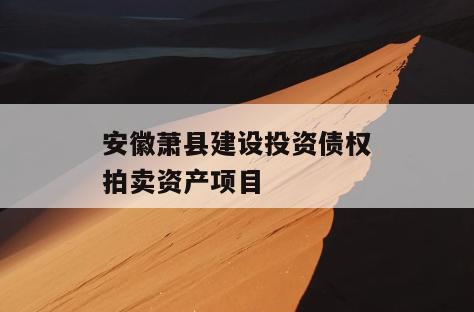安徽萧县建设投资债权拍卖资产项目