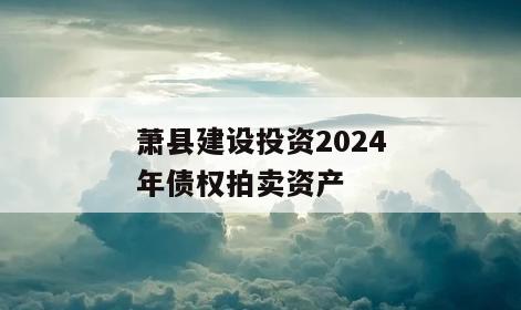 萧县建设投资2024年债权拍卖资产