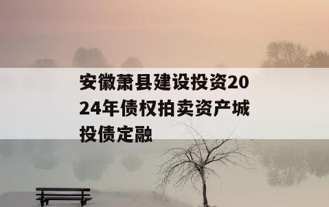 安徽萧县建设投资2024年债权拍卖资产城投债定融