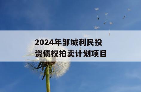 2024年邹城利民投资债权拍卖计划项目