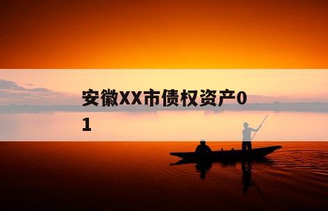 安徽XX市债权资产01