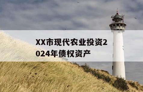 XX市现代农业投资2024年债权资产