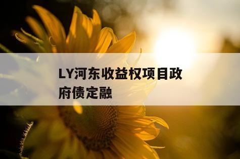 LY河东收益权项目政府债定融