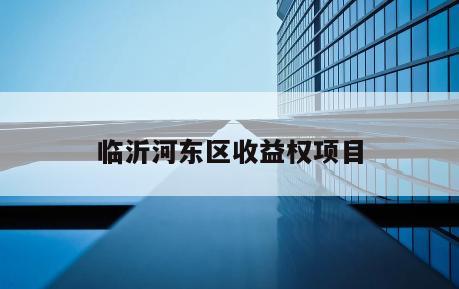 临沂河东区收益权项目