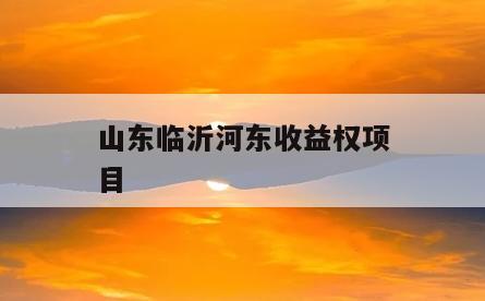 山东临沂河东收益权项目
