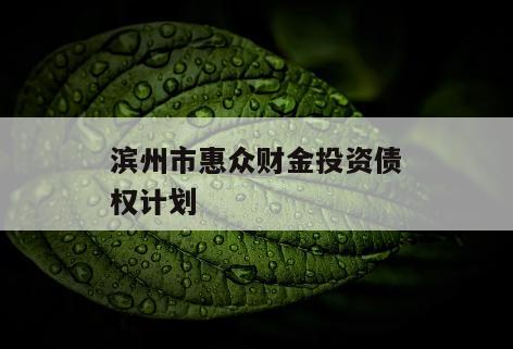 滨州市惠众财金投资债权计划