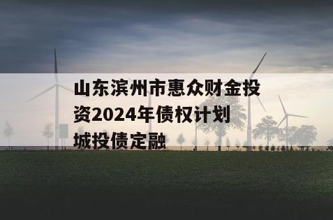 山东滨州市惠众财金投资2024年债权计划城投债定融