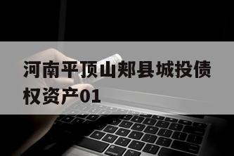 河南平顶山郏县城投债权资产01
