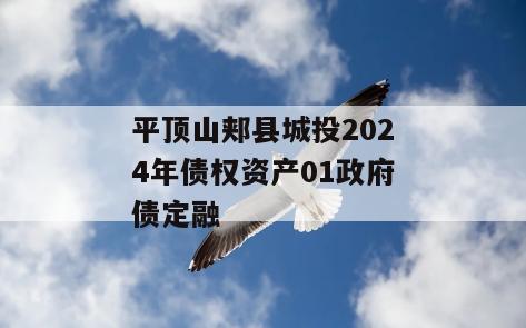 平顶山郏县城投2024年债权资产01政府债定融