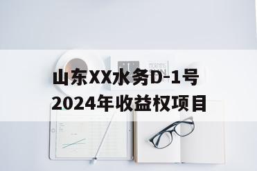 山东XX水务D-1号2024年收益权项目