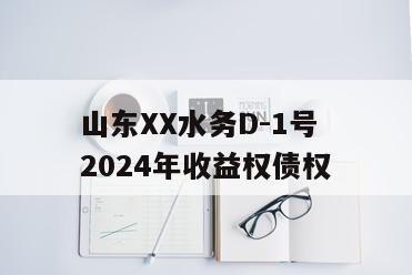 山东XX水务D-1号2024年收益权债权