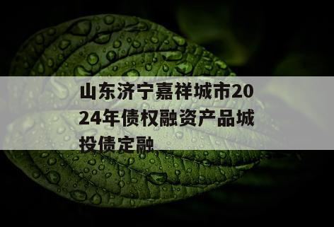 山东济宁嘉祥城市2024年债权融资产品城投债定融